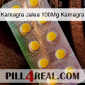 Kamagra Jelly 100Mg Kamagra new11